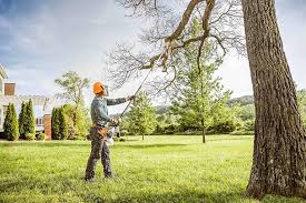 Trusted Neoga, IL Tree Removal Experts